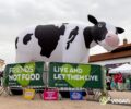 Στο Vegan Life Festival Athens 2025 συζήτηση για το βιβλίο «ΑΠΕΛΕΥΘΕΡΩΣΗ ΤΩΝ ΖΩΩΝ ΤΩΡΑ» Σάββατο 4 Οκτωβρίου
