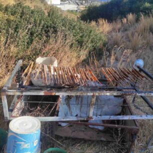 Ρόδος: Εκατοντάδες ξόβεργες βρέθηκαν σε ιδιωτικό χώρο στις Καλυθιές – Συνελήφθη ο δράστης 1 XovergesKalythiesRodos23 9 2025 4
