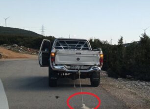 Αγία Άννα Βοιωτίας: Έσερνε πτώμα σκύλου στην άσφαλτο δεμένο στο αγροτικό Ι.Χ. του