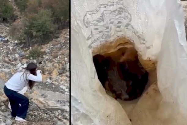 Ανώγεια Ηρακλείου Κρήτης: Τουρίστες βρήκαν σε τσουβάλι πεταμένο στο βουνό ζωντανά έξι κουτάβια (βίντεο)