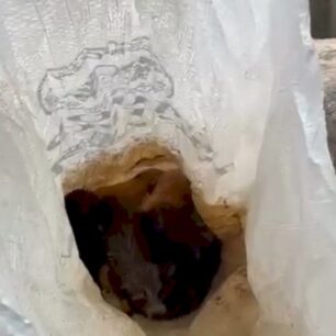 AnogeiaIrakleiouKritisKoutaviaTsouvali1 11 2025 3