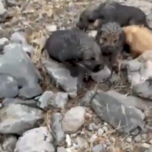 AnogeiaIrakleiouKritisKoutaviaTsouvali1 11 2025 4