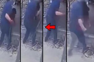 Άγιος Φλώρος Μεσσηνίας: Χτυπούσε το Ροτβάιλερ με αλυσίδα πριν ο σκύλος του επιτεθεί και τον αρπάξει (βίντεο)