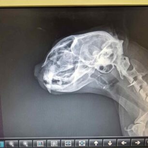 MarousiGataPyrovolimeniAerovoloAktinografia23 10 2025 1