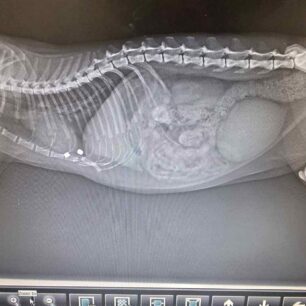 MarousiGataPyrovolimeniAerovoloAktinografia23 10 2025 3