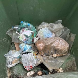 Μεγαλόπολη Αρκαδίας: Βρήκαν σκύλο ζωντανό μέσα σε τσουβάλι πεταμένο σε κάδο σκουπιδιών (βίντεο) 1 MegalopoliArkadiasSkylosTsouvaliKados22 11 2025 1