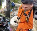 Πήλιο Μαγνησίας: Σκότωσε μωρά κουτάβια πετώντας σε σπήλαιο από μεγάλο ύψος – Ένα μόνο επέζησε (βίντεο)