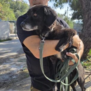 RodosSkylosKommenaPodia3 11 2025 10