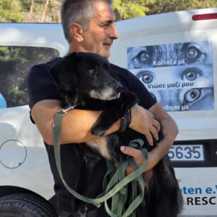 RodosSkylosKommenaPodia3 11 2025 11