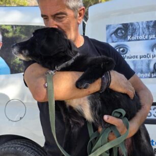 RodosSkylosKommenaPodia3 11 2025 12