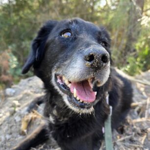 RodosSkylosKommenaPodia3 11 2025 5