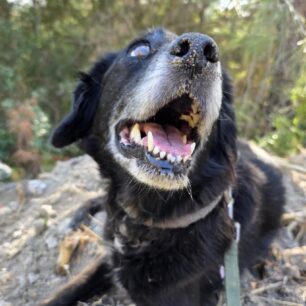 RodosSkylosKommenaPodia3 11 2025 6