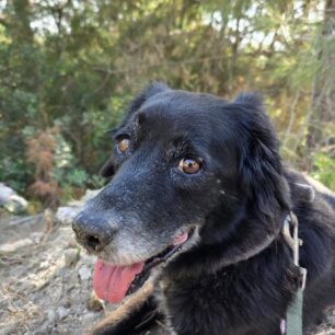 RodosSkylosKommenaPodia3 11 2025 7