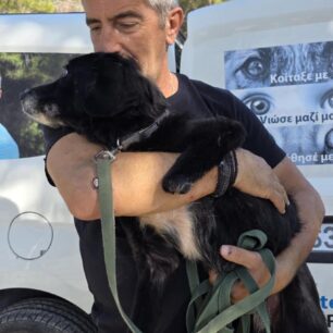 RodosSkylosKommenaPodia3 11 2025 9