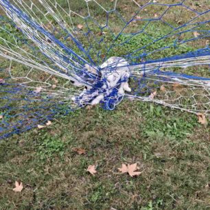 ViotiaAliartosSkylosDixtyGipedoPodosfairou1 11 2025 2