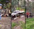 Ο Δήμος Πεντέλης - Μελισσίων κατέστρεψε πρόχειρες κατασκευές που προστάτευαν αδέσποτες γάτες – Θα τις αντικαταστήσει; (Βίντεο)