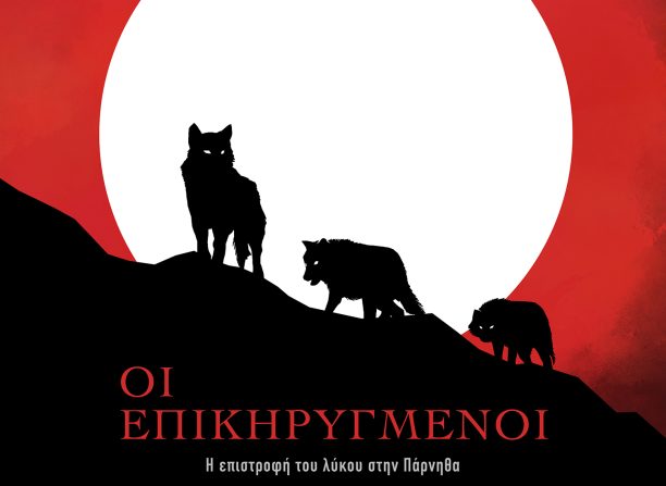 «Οι Επικηρυγμένοι» το ντοκιμαντέρ για την επανεμφάνιση λύκων στην Πάρνηθα (βίντεο)