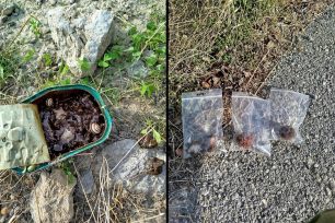 Γιούχτας Ηρακλείου Κρήτης: Έριξε φόλες και δολοφόνησε ζώα εντός του Καταφυγίου Άγριας Ζωής