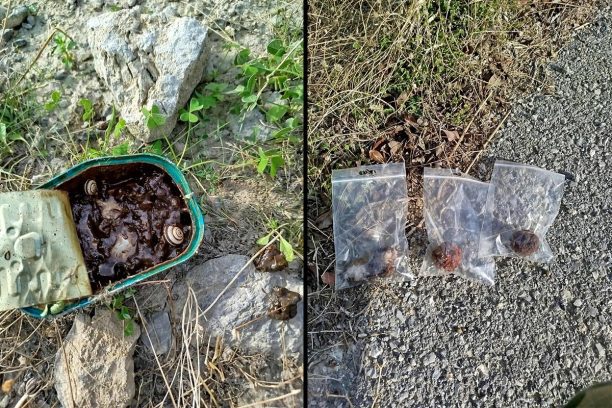 Γιούχτας Ηρακλείου Κρήτης: Έριξε φόλες και δολοφόνησε ζώα εντός του Καταφυγίου Άγριας Ζωής