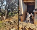 Αδιάφορος ο Δήμος Ικαρίας αν και ο κατεστραμμένος δρόμος εμποδίζει τη φροντίδα 70 σκυλιών (βίντεο)