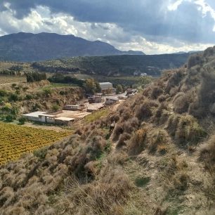 Φοινικιά Ηρακλείου Κρήτης: Σακούλα γεμάτη φόλες - δηλητηριασμένο κρέας εντόπισε ο εκπαιδευμένος σκύλος 1 MixelidakisFoinikiaIrakleiouKritisFoles28 11 2025 8