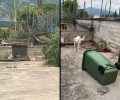 Δράμα: Καταδικάστηκε με αναστολή αντιδήμαρχος Προσοτσάνης για την κακοποίηση αδέσποτου σκύλου που βρέθηκε δεμένος στον ήλιο χωρίς νερό (βίντεο)