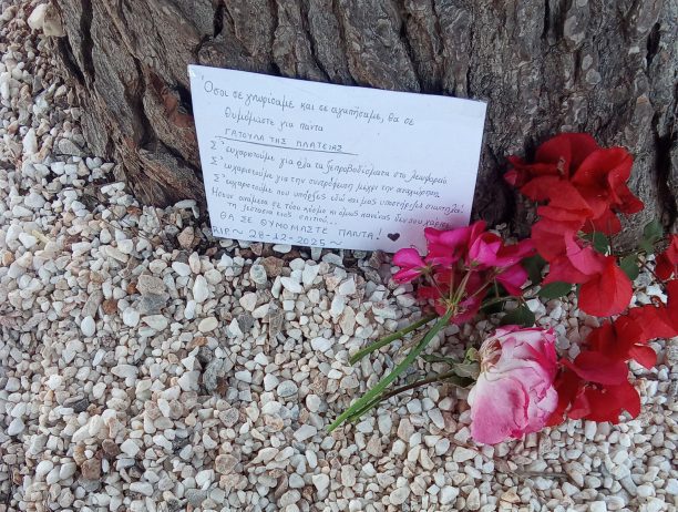 Σαρωνίδα Αττικής: Με ένα σημείωμα αποχαιρέτησε τη νεαρή γάτα που πέθανε…