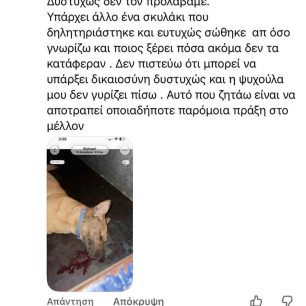 Βαλτερό Σερρών: Με φόλες δολοφόνησε σκυλιά (βίντεο) 3 ValteroSerronDilitiriasmenaSkylia16 12 2025 2