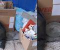 Βρήκε χρυσόψαρο ζωντανό πεταμένο στα σκουπίδια μέσα σε σαλατιέρα στου Ζωγράφου Αττικής (βίντεο)