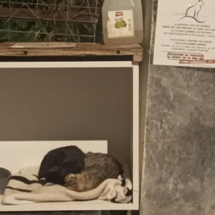 AgiosDimitriosAttikisGatesKoimountai12 2025 3
