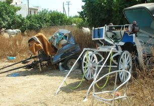 «Ιππόθεσις»: Σε θετική κατεύθυνση η εγκύκλιος του Υπ. Εσωτερικών που βάζει κανόνες στους αμαξάδες