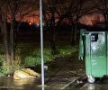Αμπελόκηποι Δράμας: Με φόλες δολοφόνησε σκυλιά