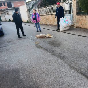 ExamiliaKorinthiasDilitiriasmenaSkylia24 1 2026 7