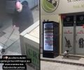 Ηράκλειο Κρήτης: Έδεσε και εγκατέλειψε σκύλο έξω από πετ σοπ – Τον κατέγραψε η κάμερα ασφαλείας (βίντεο)
