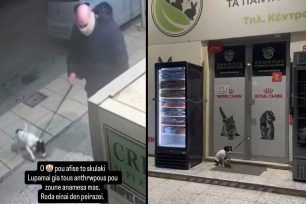 Ηράκλειο Κρήτης: Έδεσε και εγκατέλειψε σκύλο έξω από πετ σοπ – Τον κατέγραψε η κάμερα ασφαλείας (βίντεο)