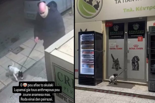 Ηράκλειο Κρήτης: Έδεσε και εγκατέλειψε σκύλο έξω από πετ σοπ – Τον κατέγραψε η κάμερα ασφαλείας (βίντεο)