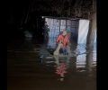Μανιάκοι Καστοριάς: Διάσωση τεσσάρων σκύλων από τα πλημμυρισμένα κλουβιά τους (βίντεο)