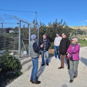 Ξανακάνει σύμβαση με τον Σύλλογο Προστασίας Ζώων Πάρου o Δήμος και αποδεικνύει ότι δίκιο είχαν μόνο οι φιλόζωοι 1 ParosMpizasKostasDimarxosPAWSMarathi13 1 2026 1