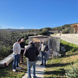 Ξανακάνει σύμβαση με τον Σύλλογο Προστασίας Ζώων Πάρου o Δήμος και αποδεικνύει ότι δίκιο είχαν μόνο οι φιλόζωοι 5 ParosMpizasKostasDimarxosPAWSMarathi13 1 2026 5