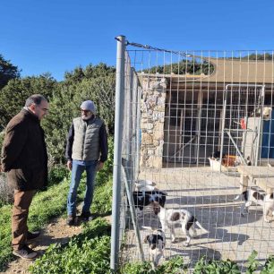 Ξανακάνει σύμβαση με τον Σύλλογο Προστασίας Ζώων Πάρου o Δήμος και αποδεικνύει ότι δίκιο είχαν μόνο οι φιλόζωοι 7 ParosMpizasKostasDimarxosPAWSMarathi13 1 2026 7