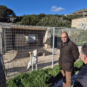 Ξανακάνει σύμβαση με τον Σύλλογο Προστασίας Ζώων Πάρου o Δήμος και αποδεικνύει ότι δίκιο είχαν μόνο οι φιλόζωοι 8 ParosMpizasKostasDimarxosPAWSMarathi13 1 2026 8