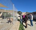 Ξανακάνει σύμβαση με τον Σύλλογο Προστασίας Ζώων Πάρου o Δήμος και αποδεικνύει ότι δίκιο είχαν μόνο οι φιλόζωοι