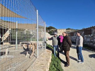 Ξανακάνει σύμβαση με τον Σύλλογο Προστασίας Ζώων Πάρου o Δήμος και αποδεικνύει ότι δίκιο είχαν μόνο οι φιλόζωοι