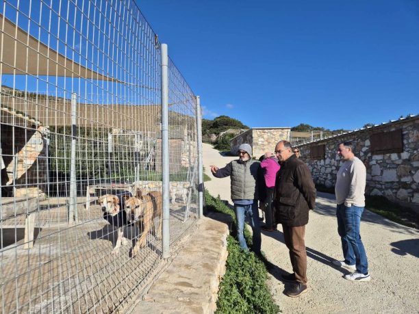 Ξανακάνει σύμβαση με τον Σύλλογο Προστασίας Ζώων Πάρου o Δήμος και αποδεικνύει ότι δίκιο είχαν μόνο οι φιλόζωοι