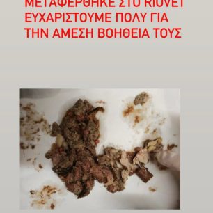 PatraAxaiasFolesGylakiaPontikoktonoDilitirio20 1 2026 3