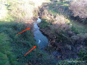 Ρέθυμνο Κρήτης: 19 τα κουτάβια που βρέθηκαν σε τσουβάλια πνιγμένα σε ποτάμι μεταξύ Μέρωνα και Γερακαρίου