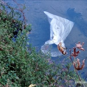 Ρέθυμνο Κρήτης: 19 τα κουτάβια που βρέθηκαν σε τσουβάλια πνιγμένα σε ποτάμι μεταξύ Μέρωνα και Γερακαρίου 7 RethymnoMeronasGerakariou19KoutaviaNekra25 12 2026 1
