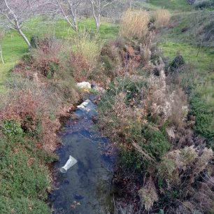 Ρέθυμνο Κρήτης: 19 τα κουτάβια που βρέθηκαν σε τσουβάλια πνιγμένα σε ποτάμι μεταξύ Μέρωνα και Γερακαρίου 9 RethymnoMeronasGerakariou19KoutaviaNekra29 12 2025 2