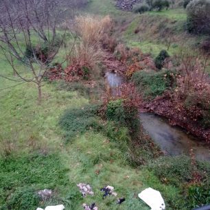 Ρέθυμνο Κρήτης: 19 τα κουτάβια που βρέθηκαν σε τσουβάλια πνιγμένα σε ποτάμι μεταξύ Μέρωνα και Γερακαρίου 15 RethymnoMeronasGerakariou19KoutaviaNekra30 12 2025 2