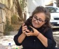 Πειραιάς Αττικής: Έκκληση για τη φιλοξενία 24 γατιών που βρέθηκαν στο σπίτι γυναίκας η οποία απεβίωσε